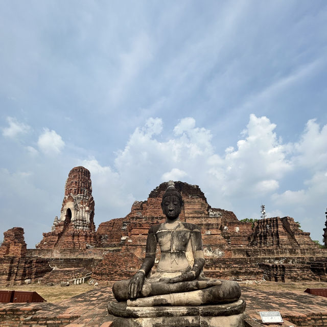 【アユタヤ🇹🇭】バンコクから90分！自然と歴史を感じる旅🌳