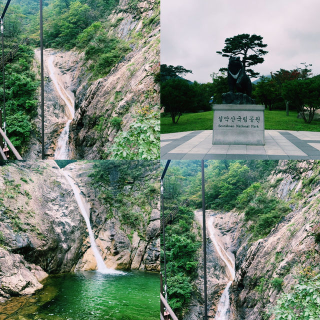 부산에선 설렘을, 속초에선 위로를 받았어요