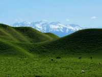 Where Cultures Meet: Discover Yili