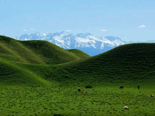 Where Cultures Meet: Discover Yili