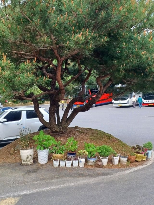 마음의 소리를 듣는 새벽, 백천사