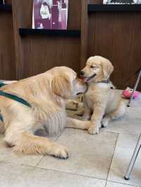 TEDS Coffee & Eatery คาเฟ่ Pet-Friendly 