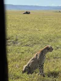肯亞safari紀錄