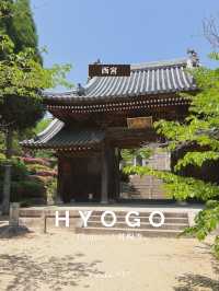 【兵庫/西宮】神を呪う寺…⛩️？！