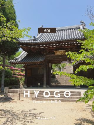 【Hyogo/Nishinomiya】A Temple That Curses Gods...?!