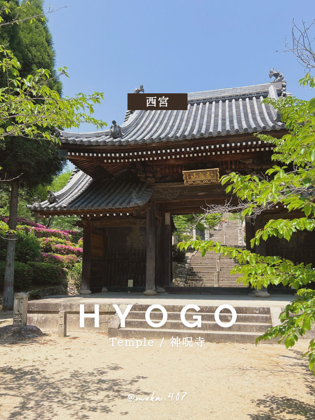 【兵庫/西宮】神を呪う寺…⛩️？！