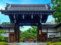 Sorakuen Garden – Kobe’s Hidden Oasis of Harmony