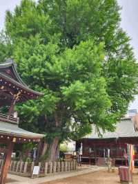 Hida Kokubunji Temple , Takayama