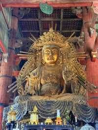 奈良｜5層樓高莊嚴大佛 到聖武天皇蓋的東大寺感受千年歷史