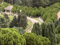 Taman Saujana Hijau: Where Dreams Go to Sweat