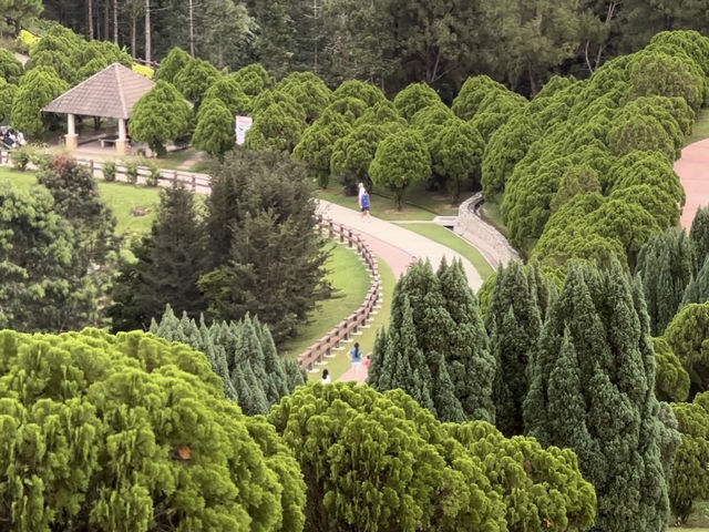 Taman Saujana Hijau: Where Dreams Go to Sweat
