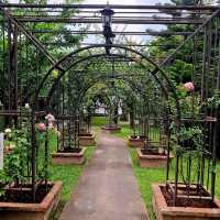 คาเฟ่กลางสวนกุหลาบ -  Fleur Cafe & Eatery