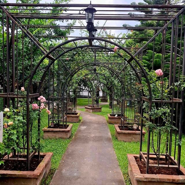 คาเฟ่กลางสวนกุหลาบ -  Fleur Cafe & Eatery