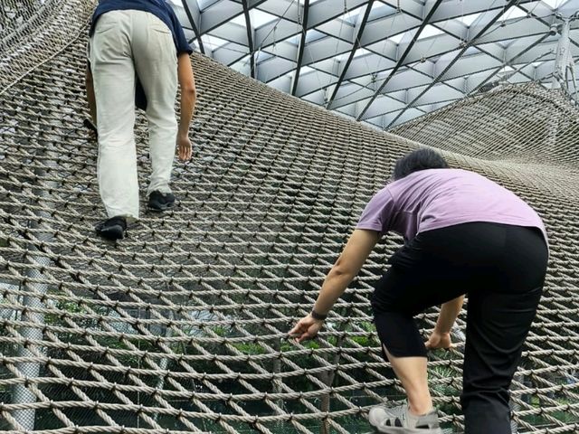 不可錯過的樟宜機場