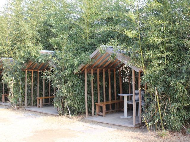 경주 | ☕️ 카페 솔