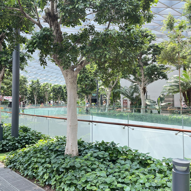 Jewel changi airport
