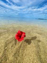 【沖縄】ゆっくりとした時間を味わえる離島🌺