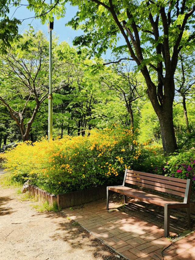 A Delightful and Educational Journey Through World Cup Park