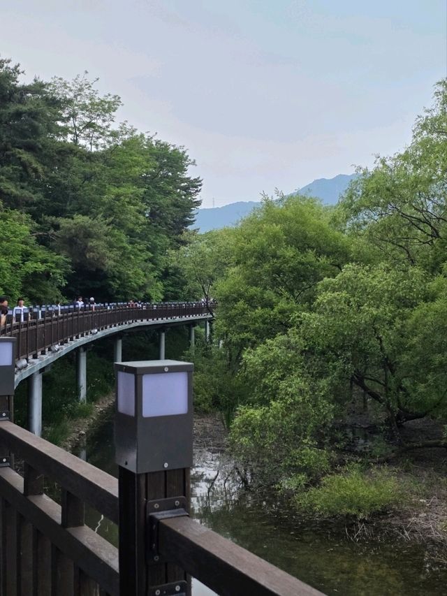 고요한 물결 따라 걷는 여유
