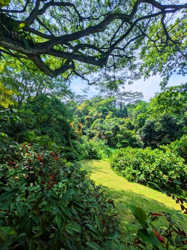Journey to Hort Park 
