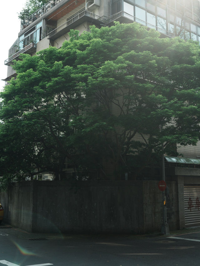 城市裡的小逃離：東門一日散步提案🌿