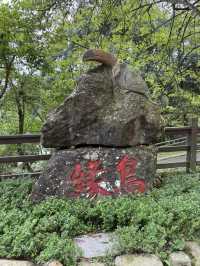 南投鹿谷｜鳳凰谷鳥園