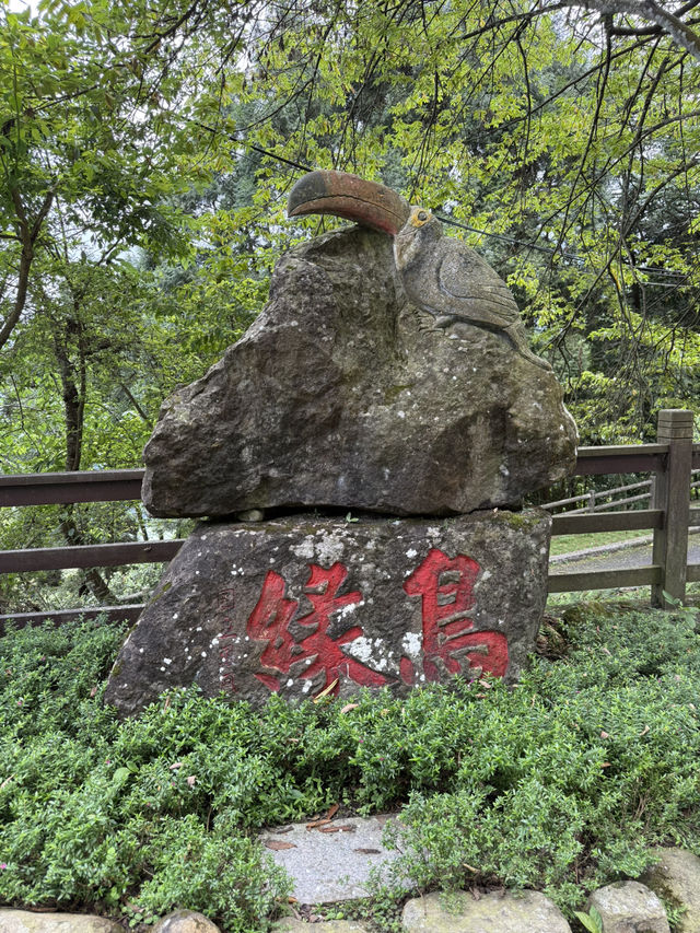 南投鹿谷｜鳳凰谷鳥園
