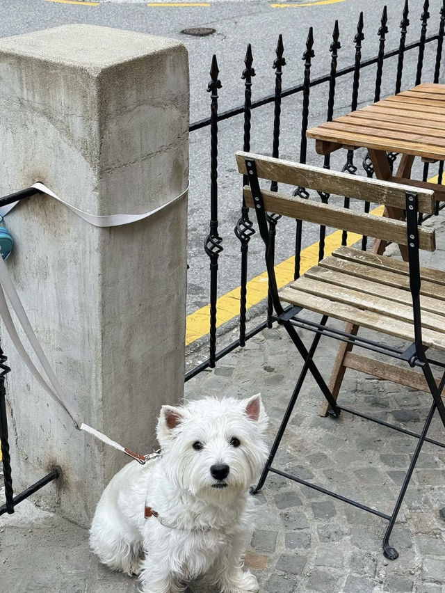 A Bagel Odyssey: Discovering the London Bagel Museum in Seoul