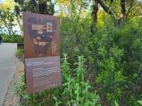 리스본의 야외데이트 장소 Jardim da Fundação Calouste Gulbenkian