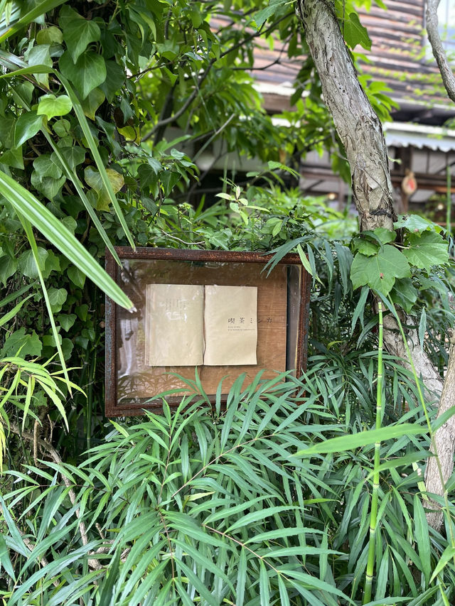 🪟【神奈川・北鎌倉 喫茶ミンカ】  路地の奥にひっそり佇む、時間が止まる静かな古民家喫茶