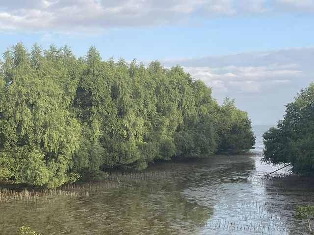 深圳人才公園