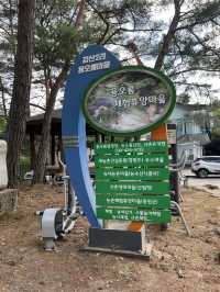 별이 쏟아지는 밤, 홍천 용오름에서 감성 캠핑 🏕️