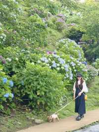 【神奈川】ワンちゃんと行ける紫陽花スポット！