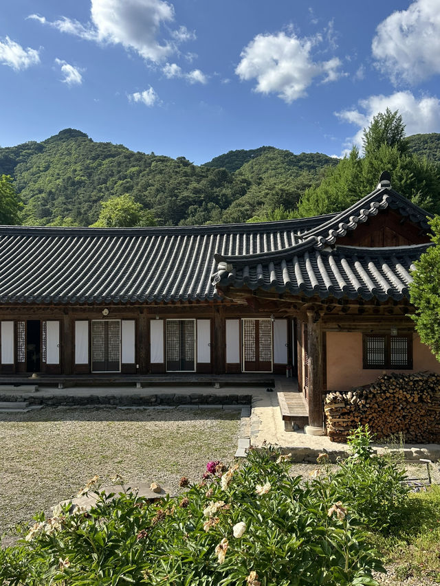 고즈넉한 강원도 홍천의 🏝️깨끗한 대자연을 느끼기에 좋은 사찰여행 추천여행지💚