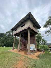 Khao Yai Adventure: 🐘 🍉🍕