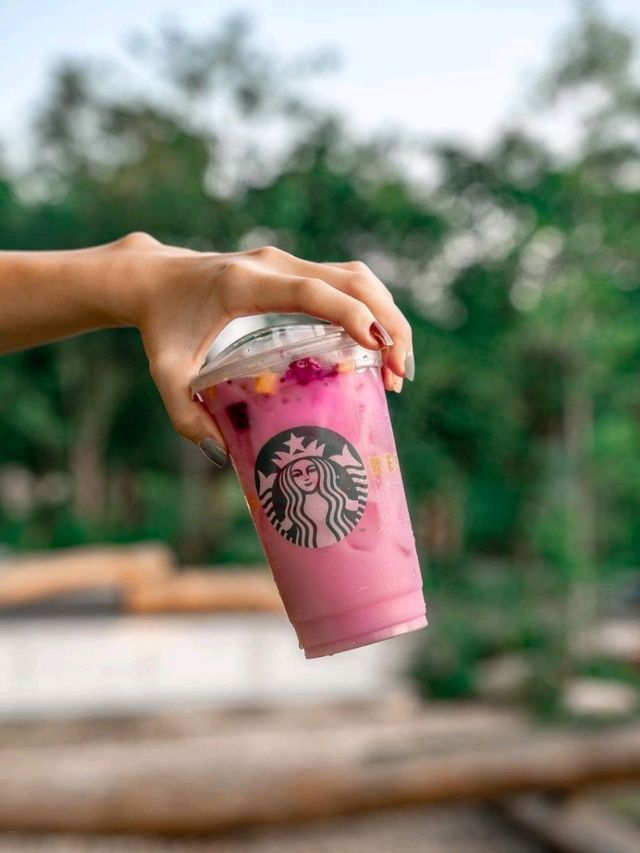 Starbucks Bird Paradise Singapore