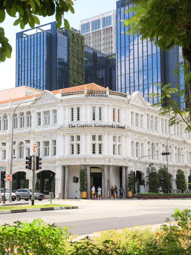 【シンガポール🇸🇬】シンガポールの美しい建築物巡り