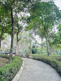 Nature’s Hidden Gem: Discover the Wild Beauty of Taman Wetland Putrajaya!