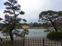 🌿 Tranquil Beauty at Okayama Korakuen Garden