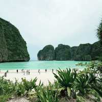 🌴 1 Day Escape from Krabi to Phi Phi Island! 🌊🐠