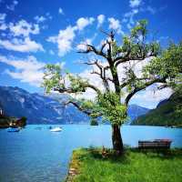 🏞️✨ Summer Weekend at Lake Brienz (Iseltwald): Swiss Fairytale by the Water 