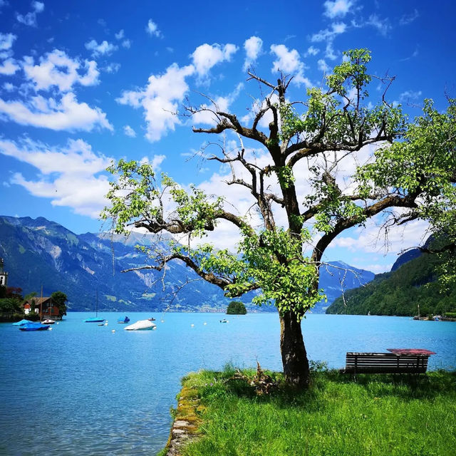 🏞️✨ Summer Weekend at Lake Brienz (Iseltwald): Swiss Fairytale by the Water 