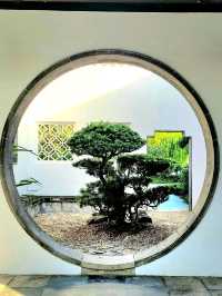 Time-honored Bonsai collection at the Bonsai Garden