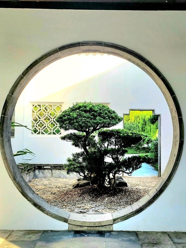 Time-honored Bonsai collection at the Bonsai Garden