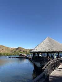 Komodo dragons
