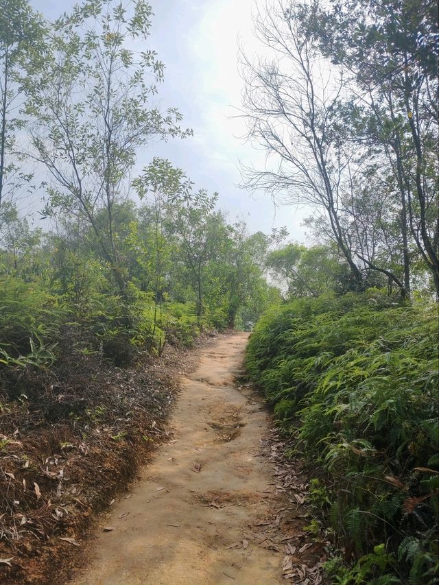 ⛰️ Conquer Nature at Kledang Hill Trail Head, Ipoh! 🌿