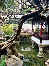 Experiencing Ancient China in Yu Garden