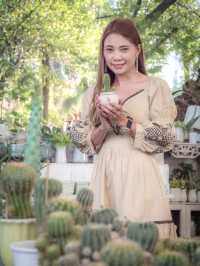 Afternoon Bangpu – อาฟเตอร์นูน บางปู