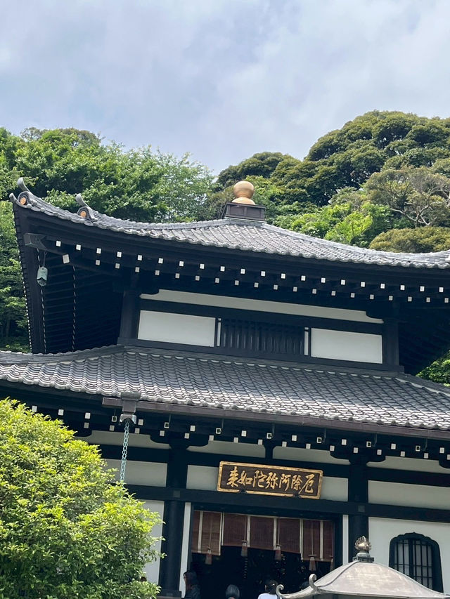 六月限定的長谷寺太夢幻了！