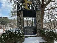 青森-蘆野公園（冬季非常推薦）